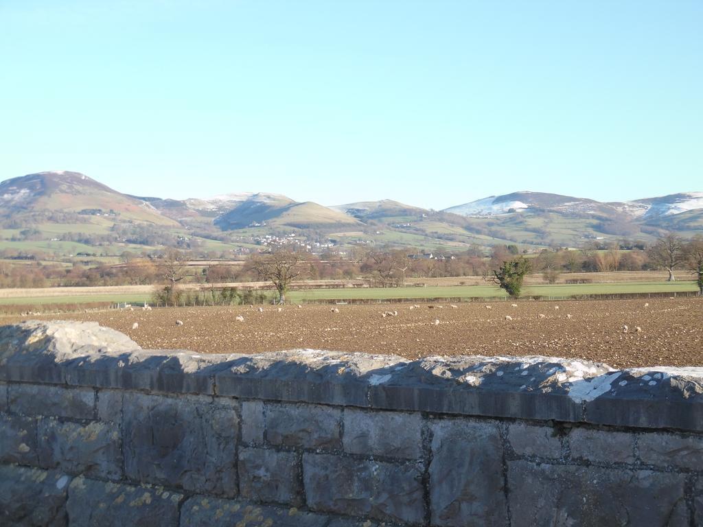 Granary At Tyddyn Isaf Villa Ruthin Eksteriør billede